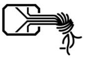 Chaos Computer Club (CCC)'s logo': in black over a white background, the outline of an image that resembles a key and also an electronic circuit. From the inside of a rectangle with chamfered corners, 4 lines direct point toward the midpoint of its right side; from there, they align perpendicularly to this side and leave the rectangle, parallel to one another. After a distance of about half the width of the rectangle, the lines twist, forming a knot. Resembling wires, the lines dangle, twisted, below the knot.